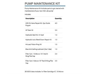 ***Pump Maintenance Kit,60K SMP Pumps, #302022-3