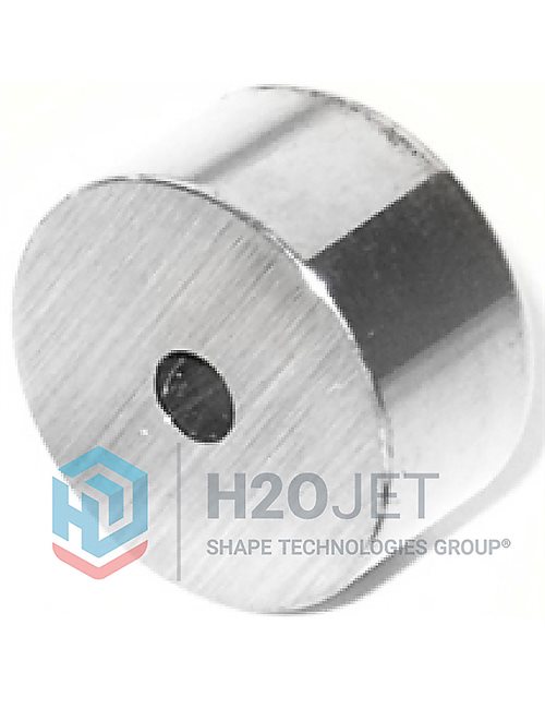 Check Valve Poppet Seat, #100034-1