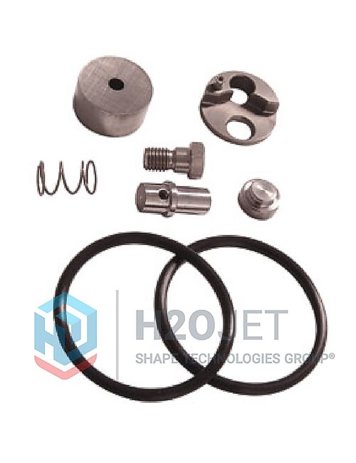 Check Valve Repair Kit #302003-1 Check Valve Repair Kit #302003-1