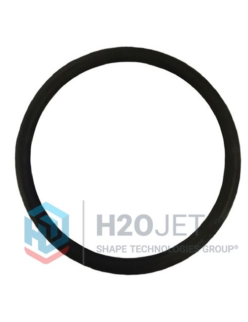 O-Ring, (Check Valve) #400043-125