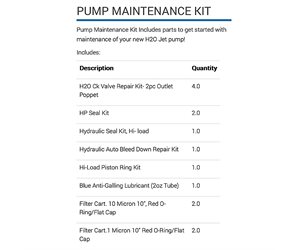 Pump Maintenance Kit - 40K, Advantage, #302022-2